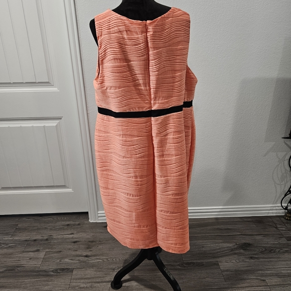 Stunning Peachy-Mango Dream Dress - Picture 2 of 4